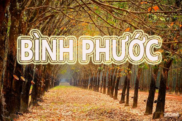 THUÊ XE ĐI BÌNH PHƯỚC